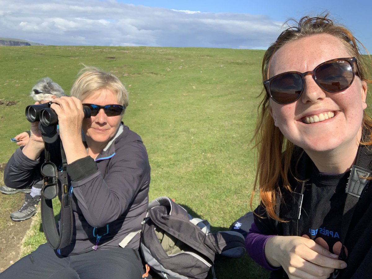 KILLER WHALES😱‼️ After days of shocking weather, delighted to finally spot some fins from #Orkney. We followed approx 15 individuals from Marwick Head to Brough of Birsay this afternoon, some of which have now been ID’d as the 12s, a known Icelandic group🤩 <a href="/SeaWatchersUK/">Sea Watch Foundation</a> #OW22