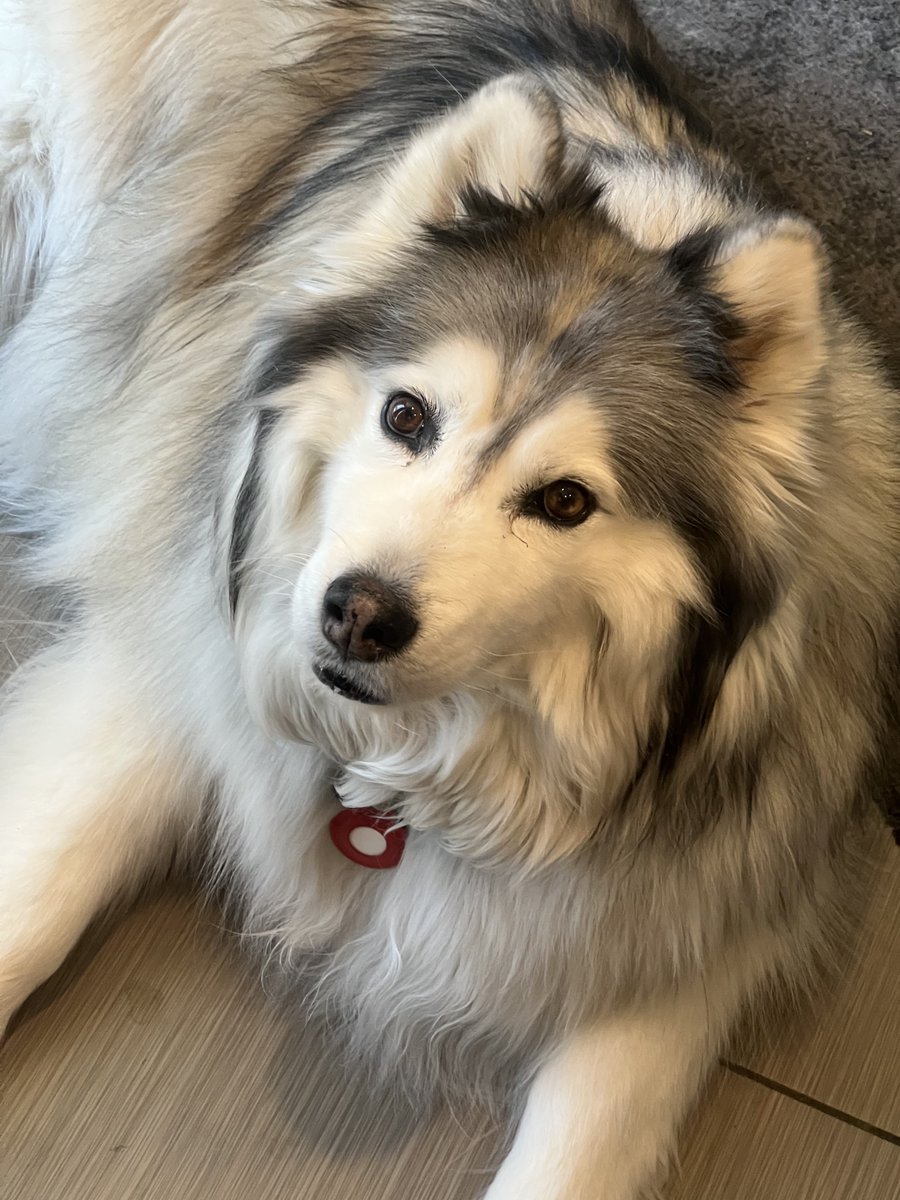 Been awhile since I did an Aspen tweet. https://t.co/oQbvPejwTF