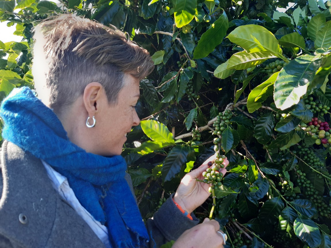sqnnswhub's tweet photo. It was a chilly start to the day for our on-the-road team of @HamSaleena & Regional Soils Coordinator Cameron Leckie, being shown around the Lismore Node by Amanda Scott. First stop, coffee plantation, second stop soils lab! #FutureDroughtFund @DeptAgNews #coffee #soils #BitCold https://t.co/IE3Z9PH4cg
