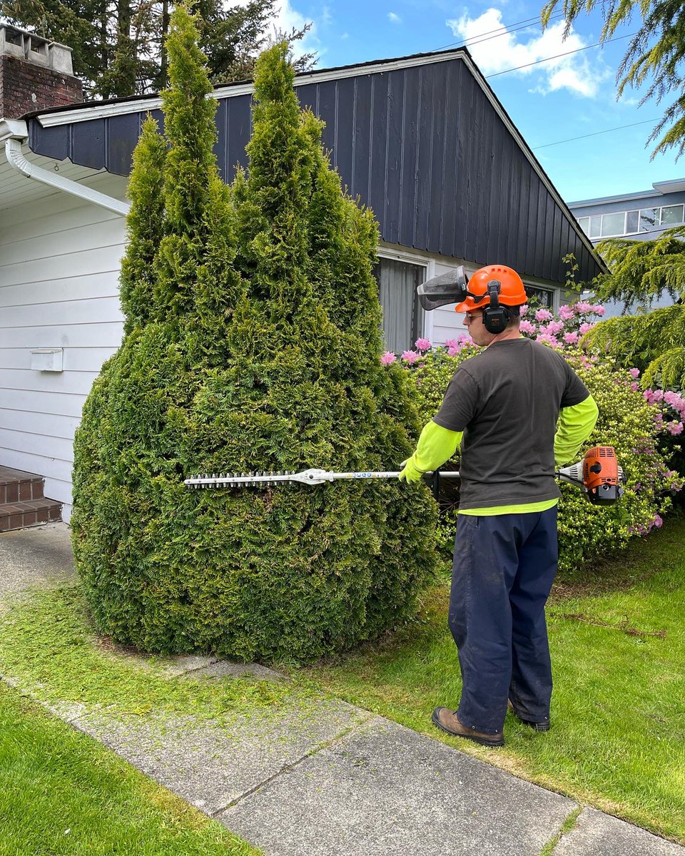 YVR Tree Care tweet media