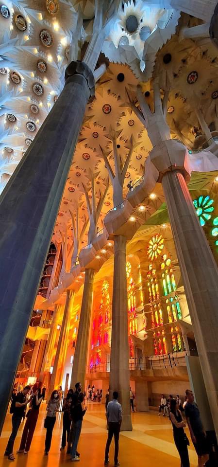 chernorris's tweet photo. @afewmilesmore @CharlesMcCool @Giselleinmotion @LiveaMemory @perthtravelers ❤️Wat Pho in Bangkok 🙏🏻 sharing #BasilicadelaSagradaFamilia in #Barcelona #Spain🇪🇸 Been here couples times. Saw the changes &more completion as years goes by. Construction started on 1881. They have been building and still another 5-10+ years to complete?#Top4Theme #Top4Gold https://t.co/jQAOOOxFjL