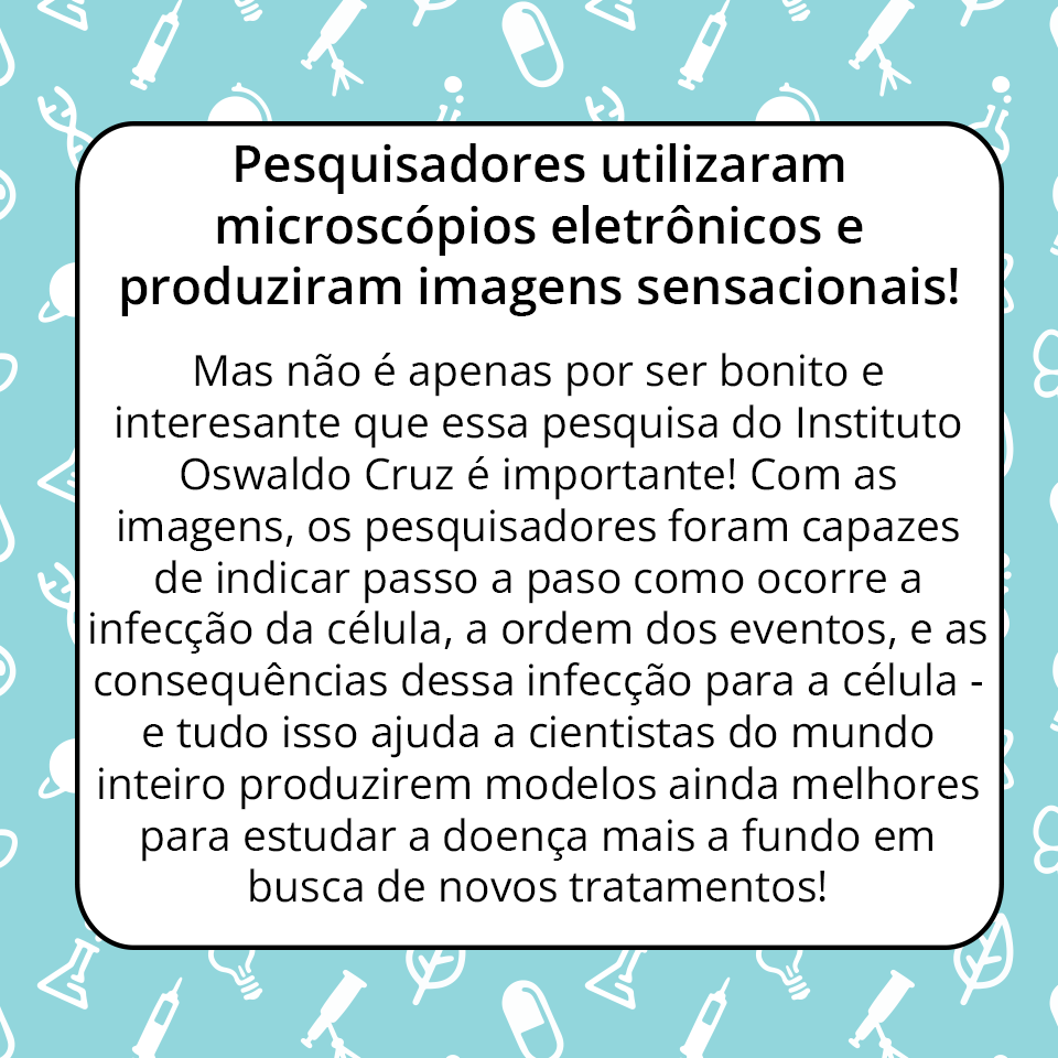 muralcientifico's tweet photo. Notícia do Dia, sua pequena dose de ciência (quase) todo dia! 

E hoje é conquista foda de cientista brasileiro! 

Fonte: https://t.co/SjlodEeAHf https://t.co/Ctcm4AK6tV