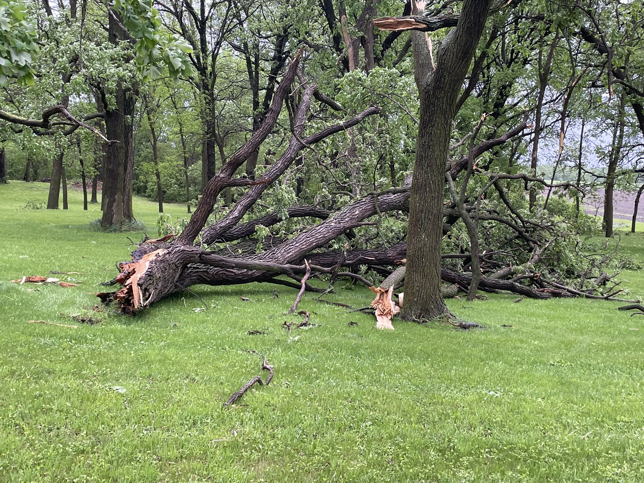 Storm Chaser Jaden Pappenheim on Twitter "Damage in Plato, MN mnwx