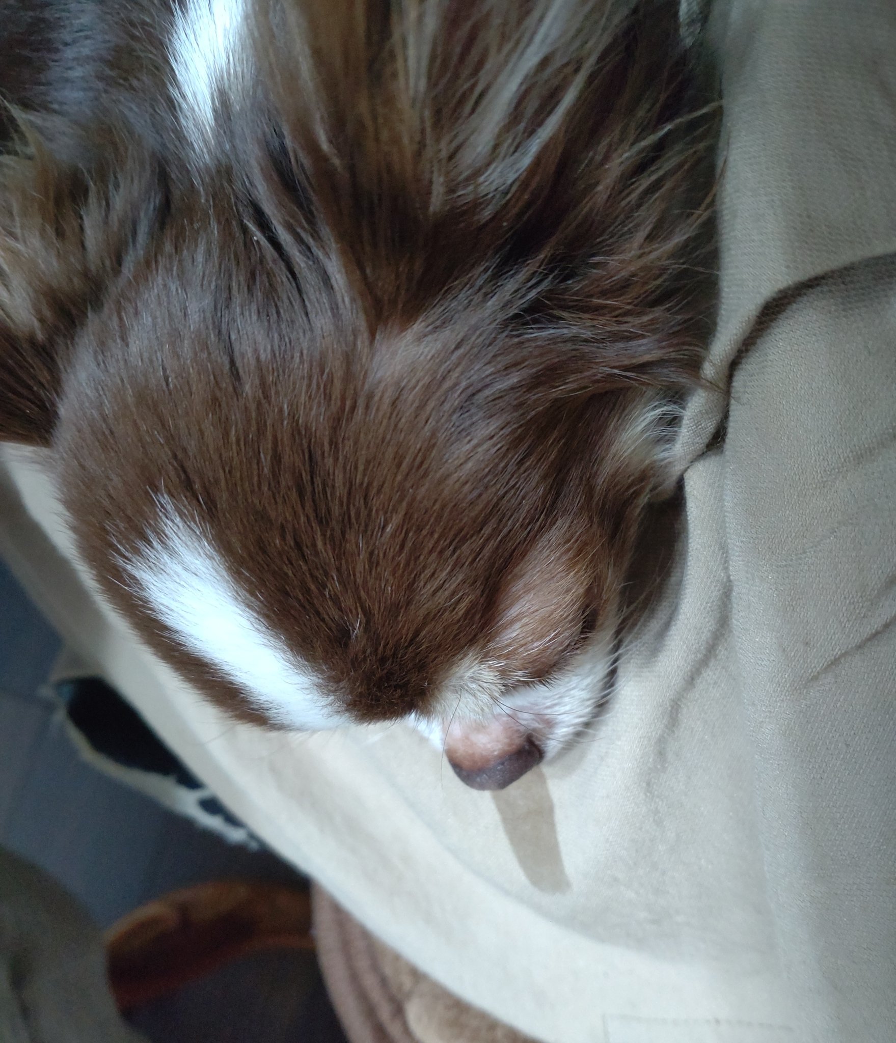 See Yoshisuke Felt S Tweet On May 31 22 Twitter