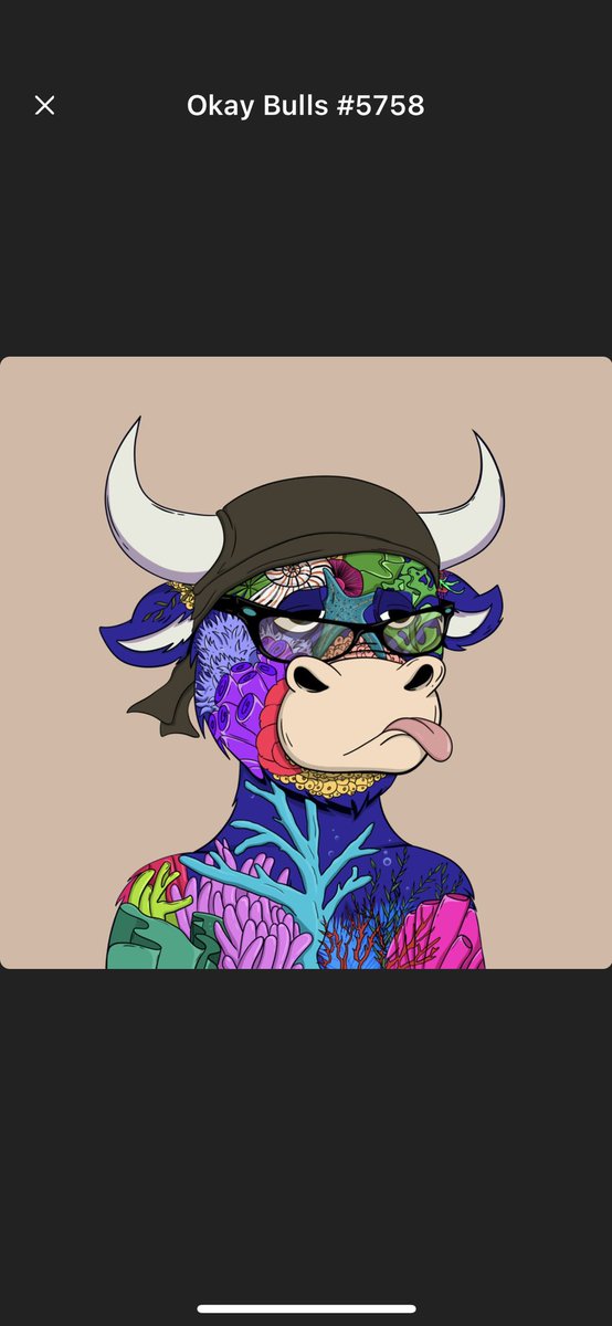 criptomando's tweet photo. @SolRarity_ @JIKANSTUDIOS @okaybulls @pxlsnkrss @dcsnft @XthStTerriers @RuggedReptilian @ZankokuLabz @SmartSeaSociety https://t.co/5wPRtCdYpu