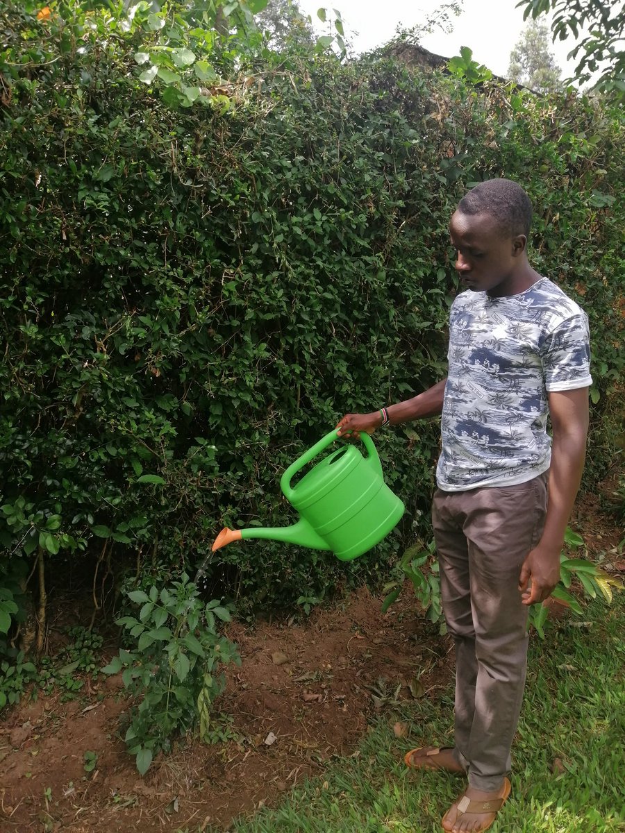 shade_last's tweet photo. If you would have told me 4 years ago that I would be watering plants at this time of the year, I would have vehemently denied. The #ClimateCrisis has not given us much of a choice and I still walk out with my watering can.
@BarbraKhatinya https://t.co/ckxjaBoT7M