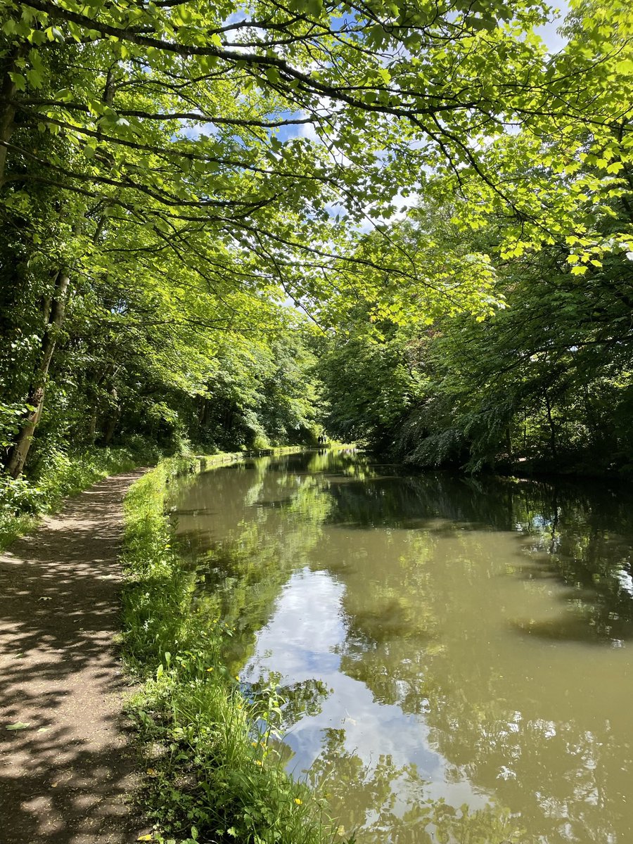 David Boal tweet media