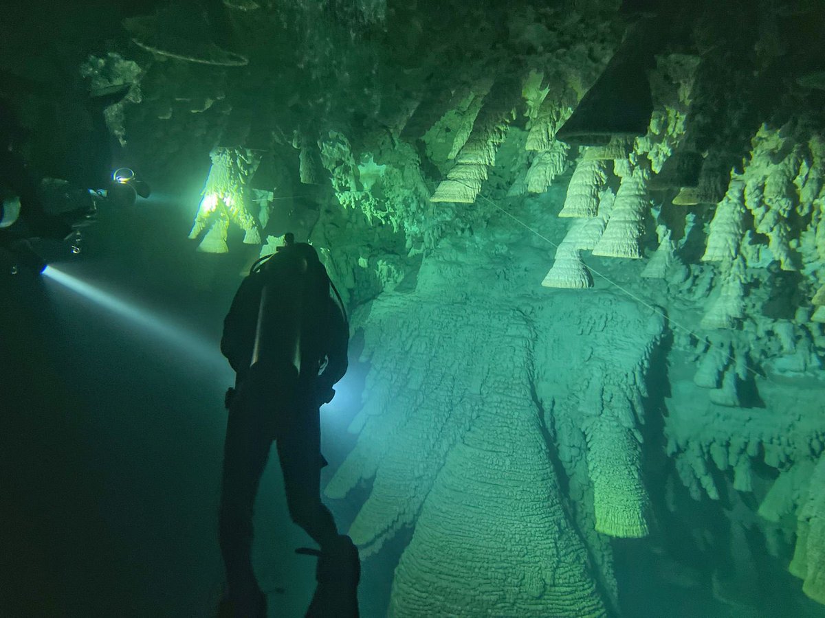 rmansilla83's tweet photo. Si que fue un gran día …
Cenote Zapote aka “Hells Bells”
Puerto Morelos, México
34mts y formaciones increíbles
#diving #purediving #cenote #cavediving #buceo #buceocenotes #DrHa https://t.co/iDRiOxKss7