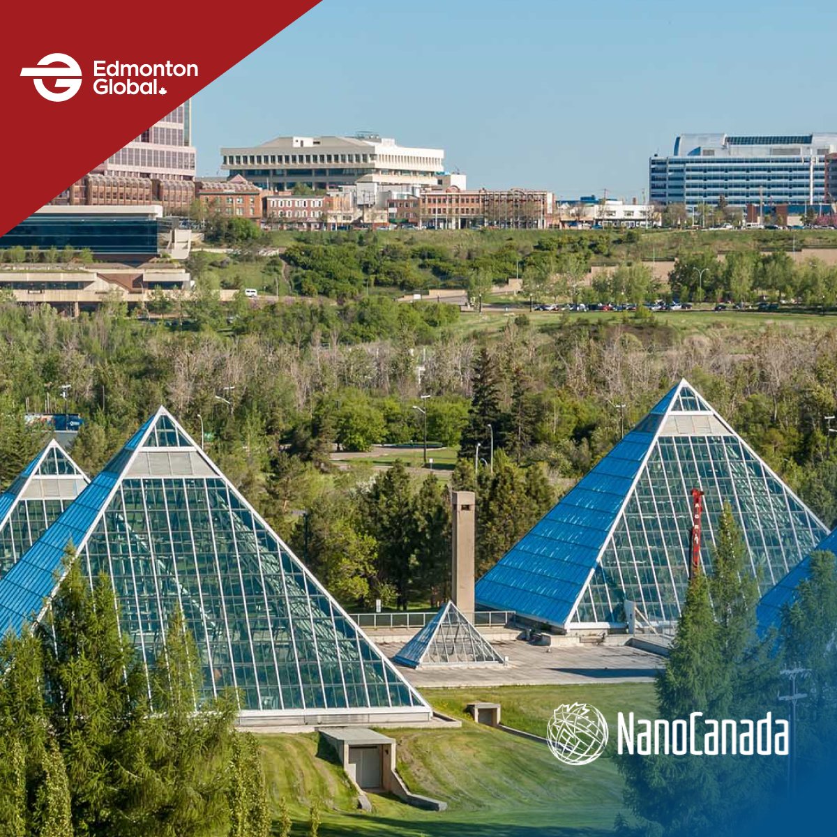 EdmontonGlobal on Twitter "We love this blurb on the NanoCanada