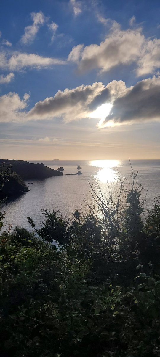 amylee2289's tweet photo. 😍 #sharkham #brixham #coastpath #sunrise https://t.co/maUSGDBVGW