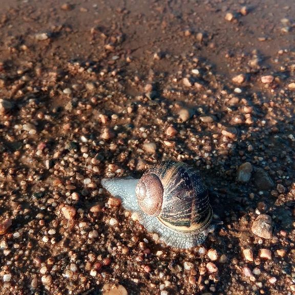 99ediciones's tweet photo. Solo va el sol
y llega hasta el poniente;
Sola la flor
y llega a la hermosura.
Aunque nadie me espere...
yo camino.

~ Felipe Pérez Pollán ~
Fragmento de DEJADME LA ESPERANZA
.
.
.
#yocamino #poesia #poema #poeta #felipepérezpollán #dóndeestaránlosvencej… https://t.co/woCBGVSJqe https://t.co/R2zRBR4SCK