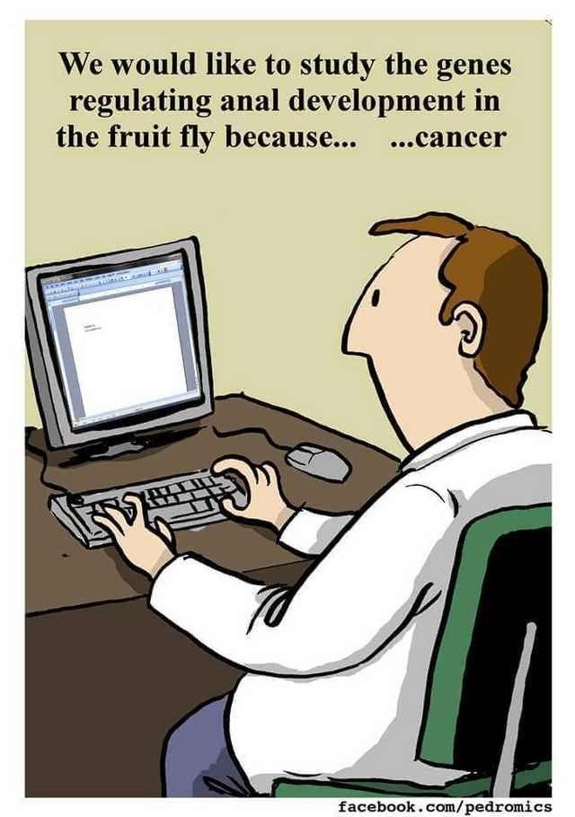 Pedromics tweet media