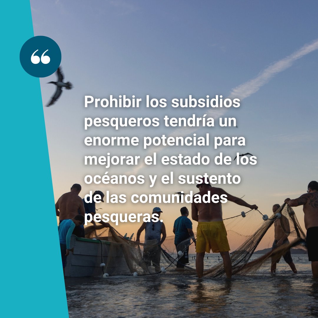 La pesca es fundamental para la economía latinoamericana y, para muchas de las personas que allí viven, una forma de vida. No obstante, esta industria centenaria también está en riesgo.
 buff.ly/3MRxD3a 

#stopoverfishing #pesca