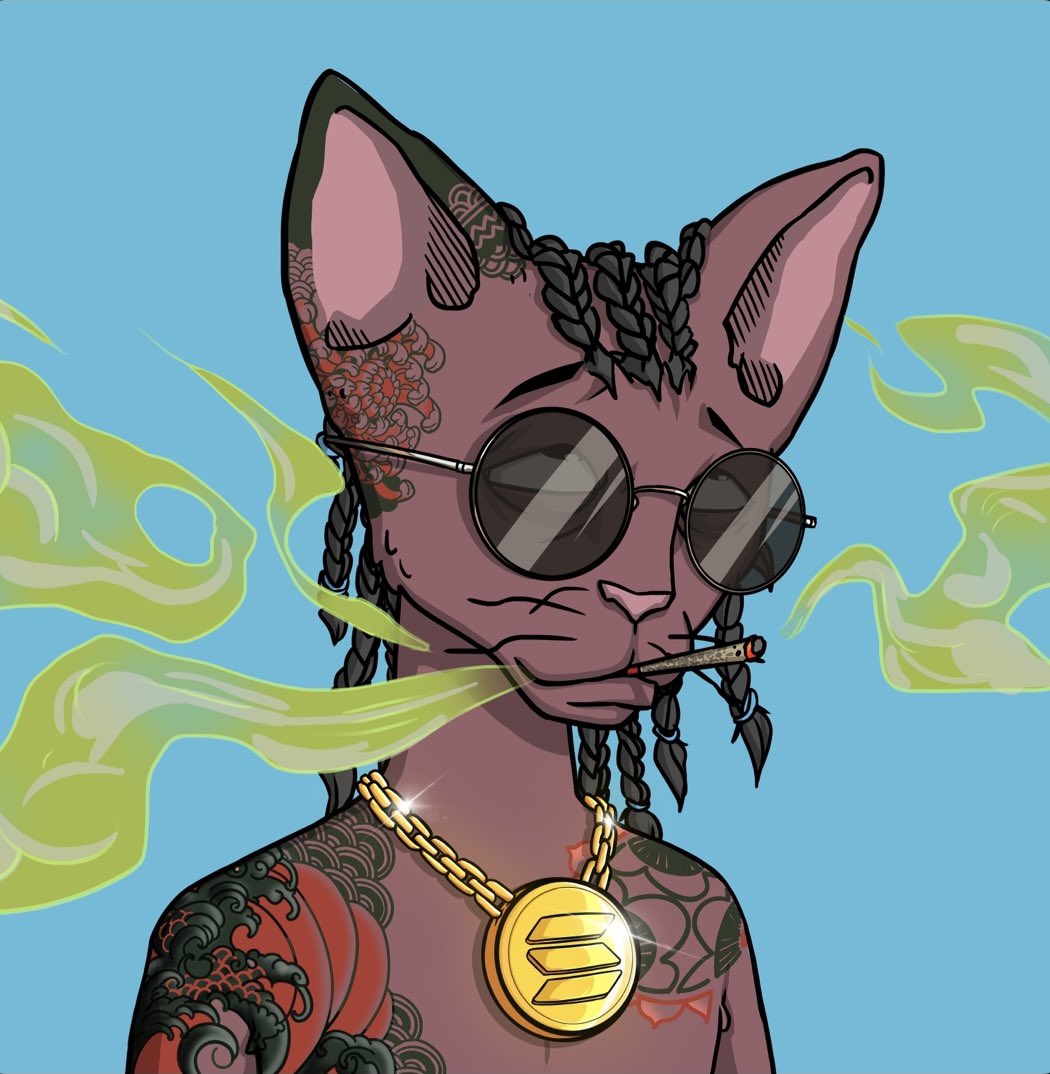 Anasjrom's tweet photo. @SnoopDogg Wassup snoop, dig this 🤌🏽 @CetsOnCreck @CetsCommunity https://t.co/yPRItVqK9H
