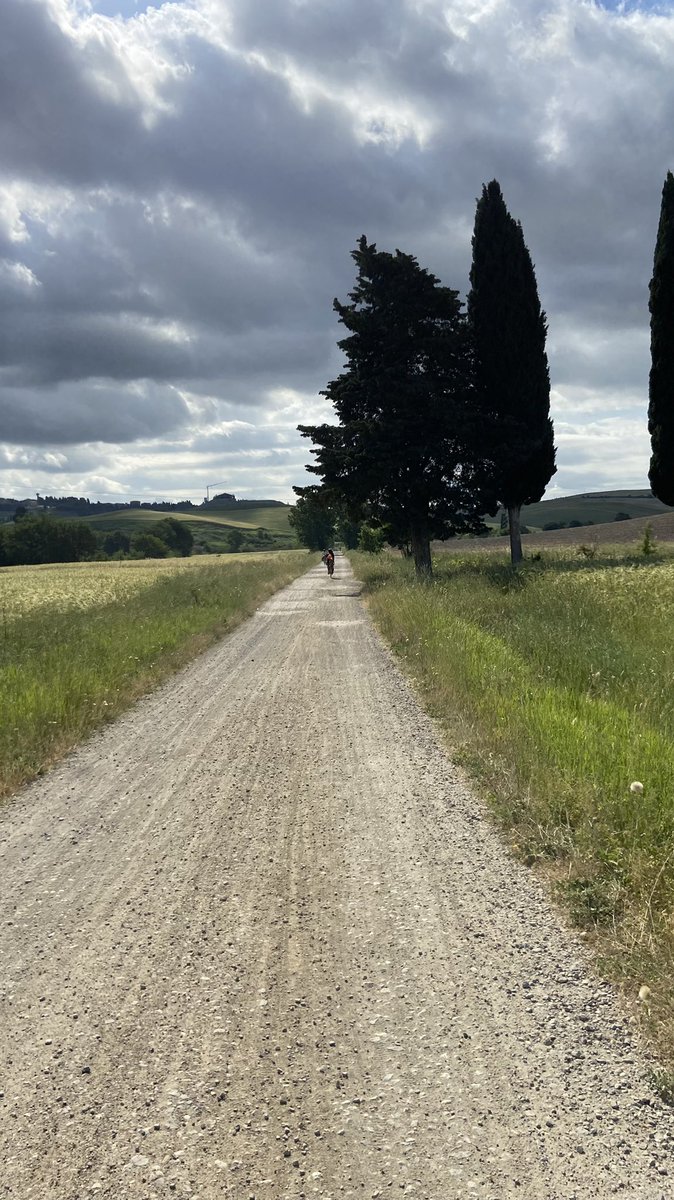 Nemanja Čedomirović tweet media