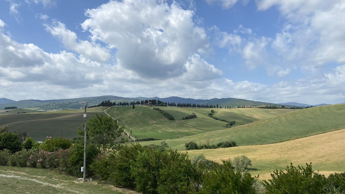 Nemanja Čedomirović tweet media