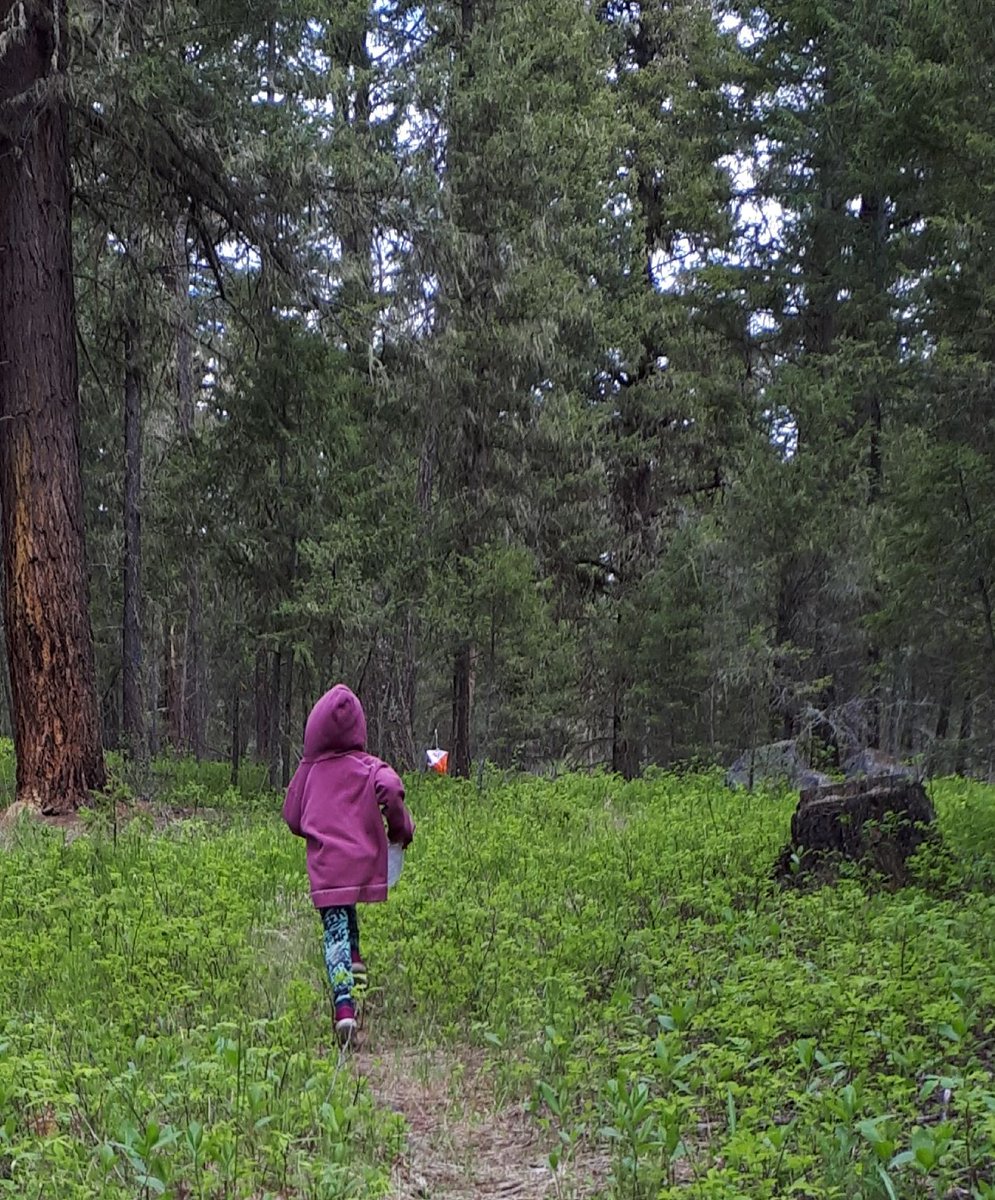 CC_Orienteering's tweet photo. 5 yo Emma's first time orienteering and our first time using our new SportIdent system at yesterdays event at Knife Creek. 😀

Next Event will be on our Bond Lake map near Williams Lake on June 19. Stay tuned for details....

#orienteering #sportident #silva https://t.co/pw6bhqCuAr