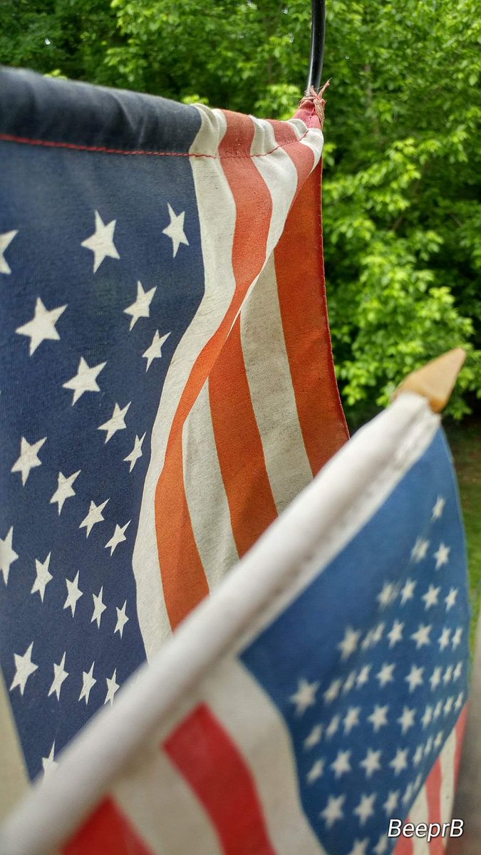 BeeprBuzz's tweet photo. Today, no flag is too big or small. We shall hang them in memory of those that gave so much for us to enjoy this day we call a holiday. 

🇺🇸 Memorial Day 🇺🇸

#MemorialDay #MemorialDay2020 #Annapolis #rememberthefallen https://t.co/1Lr6eUTabd