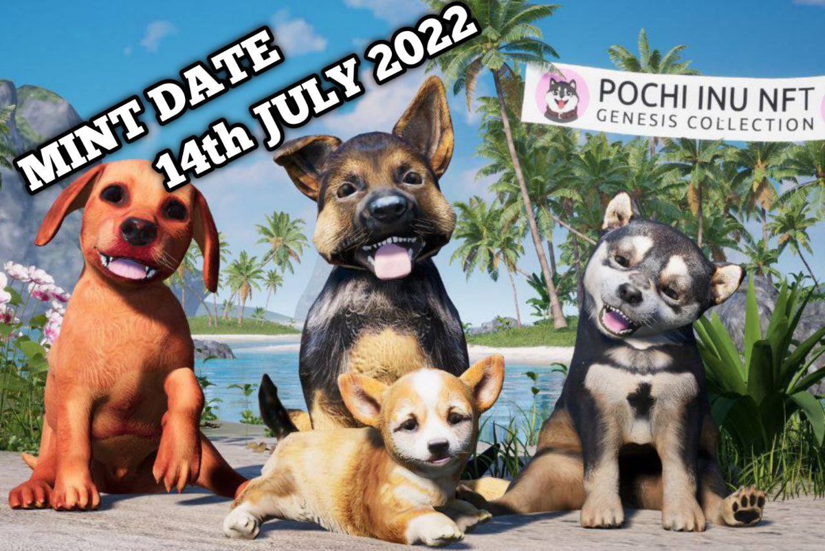 BVSOlli's tweet photo. ‼️Time for comeback ‼️...... 👀
#NFTMINTDATE #NFTs #NFT
14th July 2022
Don’t miss it! @PochiInu_io Puppies are unique! Next level of #NFTs MARK YOUR CALENDARS ⏰ #NFTCommunity https://t.co/qr533EPNO2