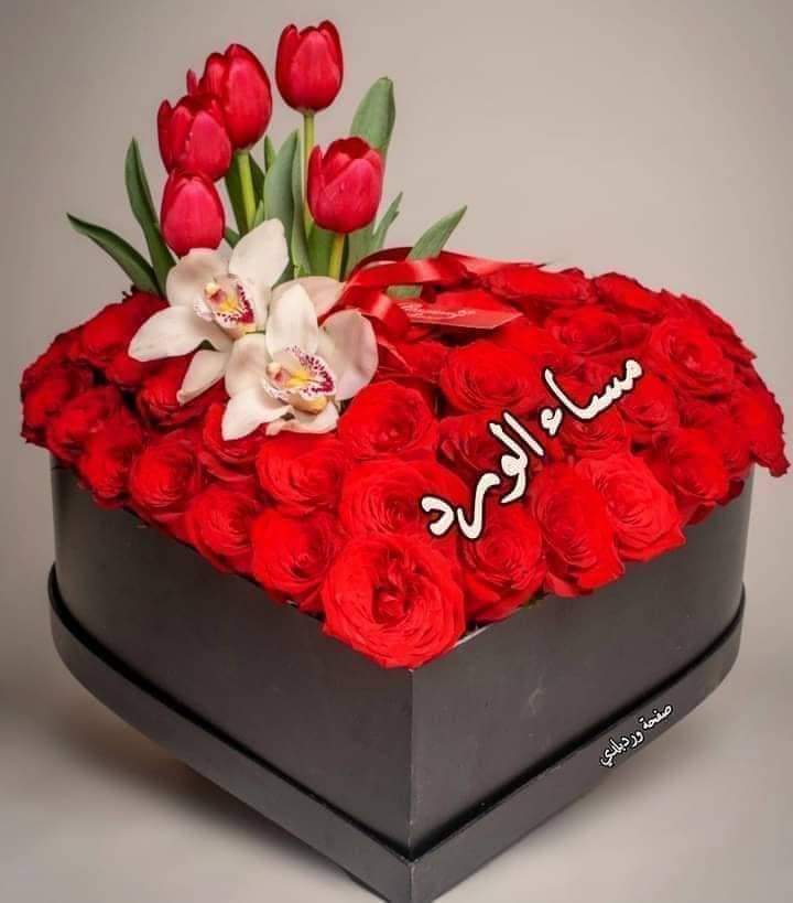 من شويه فقدت أعصابي محدش شافها هنا 
واللي شافها يرجعهالي يخربيتك مع تحياتى لكل الاهلاويه😁