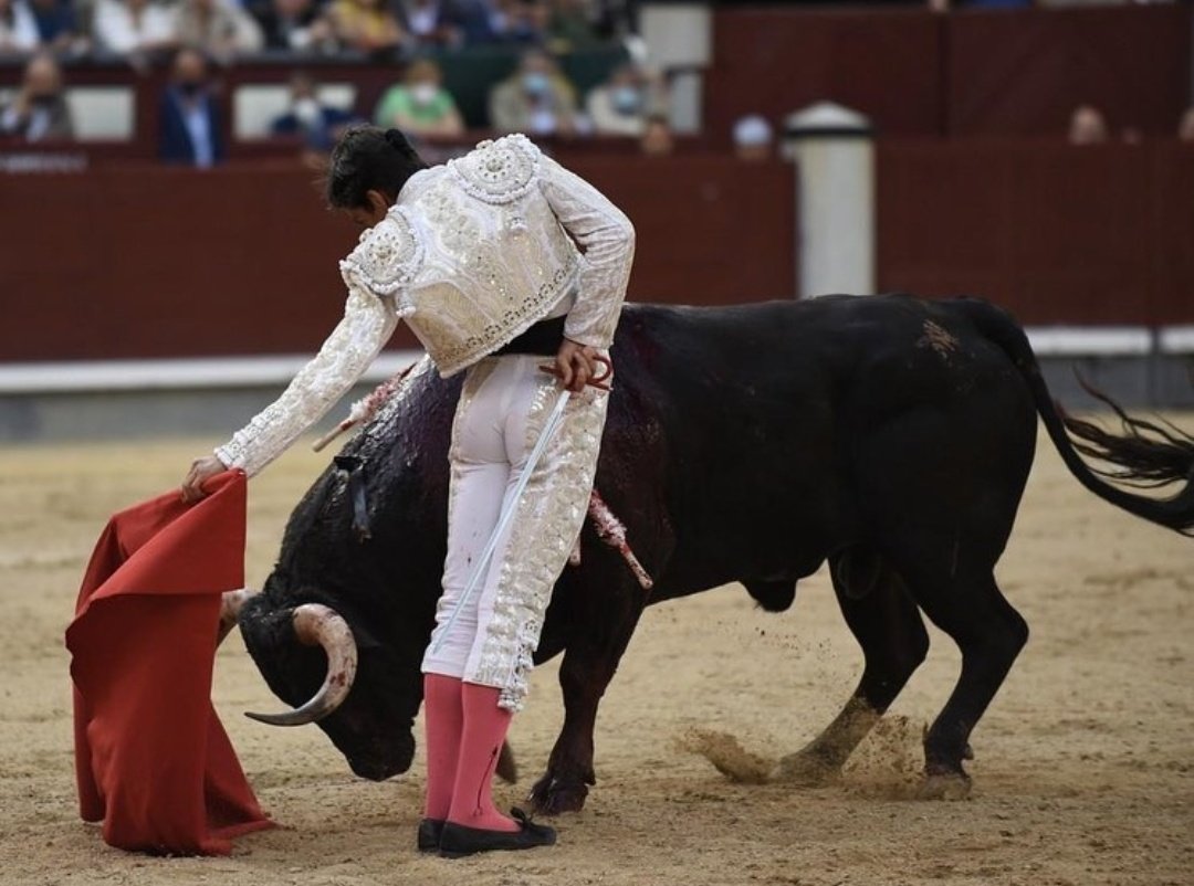 purezatoros's tweet photo. El toreo, en este San Isidro, ¡lleva su nombre! https://t.co/gucT77PpuR