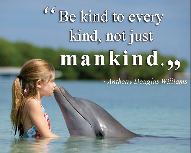 KyaZora's tweet image. Empathetic, compassionate human action is what we should be proud of. Not how we look, but who we are. Not country, religion, politics, skin colour, gender, sexuality, status, just simple humanity, compassion for all living things. That what matters, if we have that we have all.