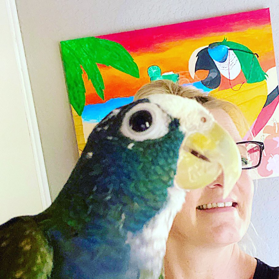 tracicarroll_'s tweet image. Happy Memorial Day from Ivan!!! 🇱🇷#ivanthewhitecappedpionus #whitecappedpionus #tracicarroll #texasparrotrescue #loveyourparrot #happymemorialday