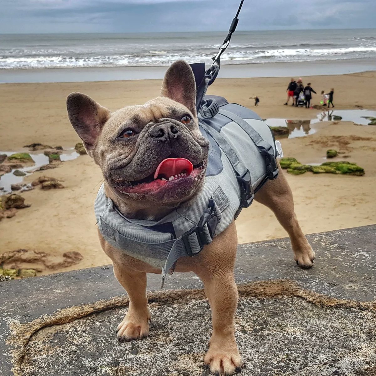 markkeeling0's tweet photo. Having some fun on Scarborough beach https://t.co/MBSPM6h8H3