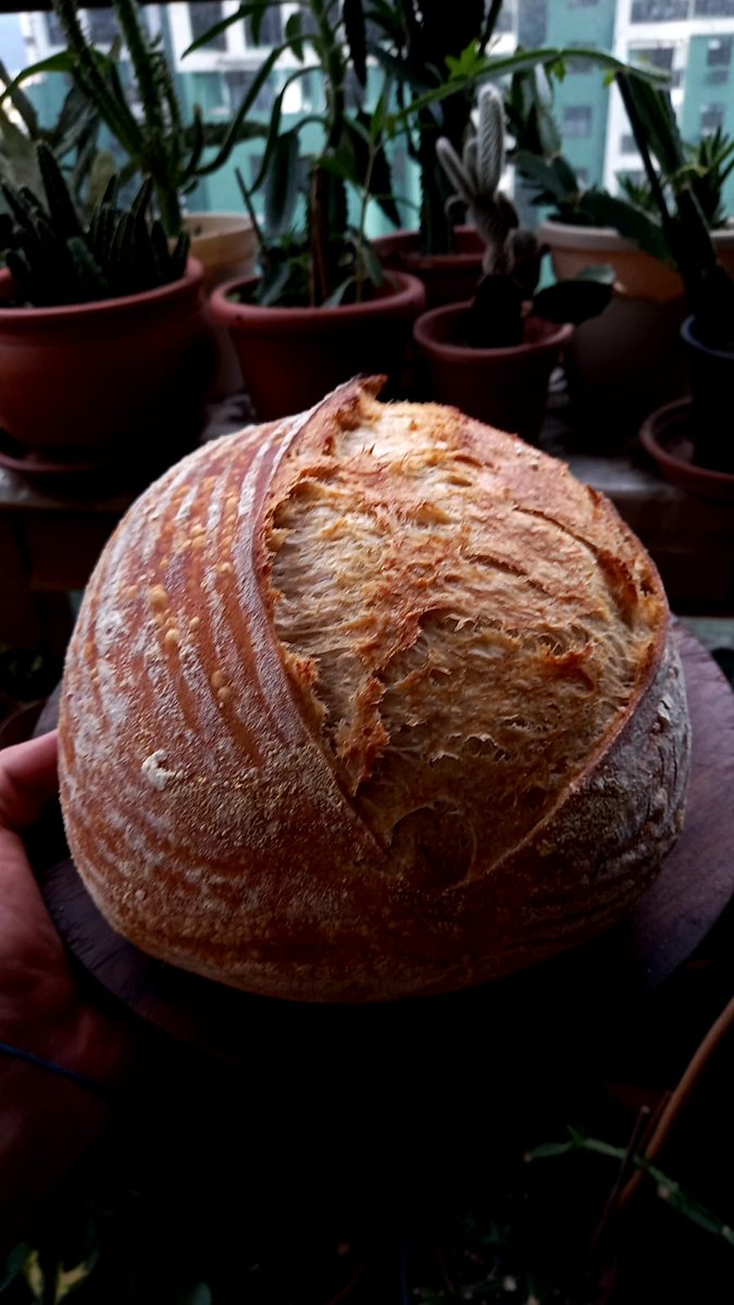 Whole wheat sourdough! Practicing some new stuff!
#bake #bread #everyday