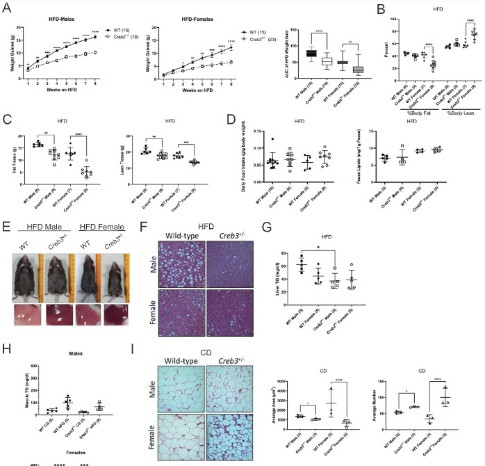 Brandon Smith, Ph.D tweet media