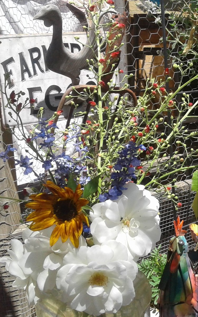 All the best memories today 🇺🇸💙💫