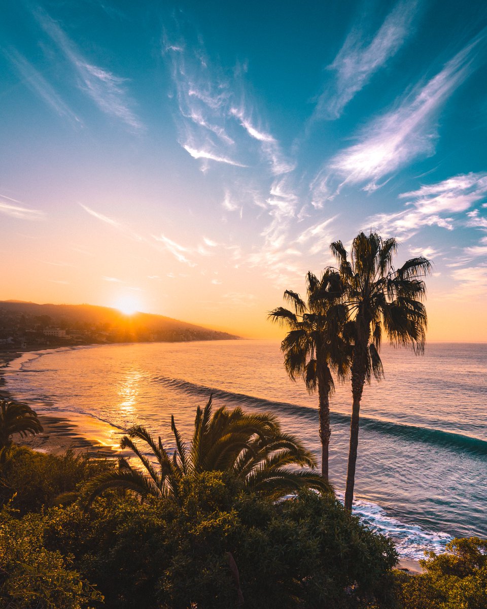 Calm before the storm ✨