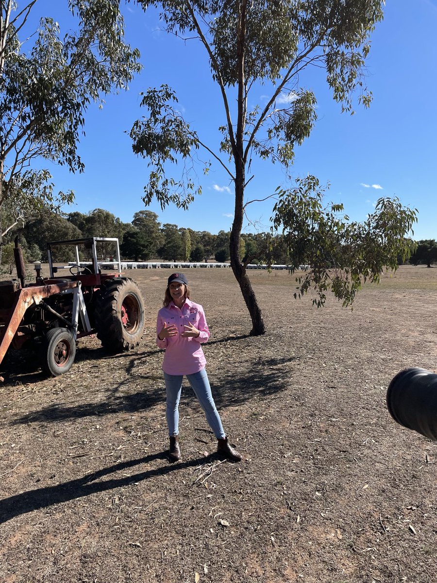 From Paddock to Plate tweet media