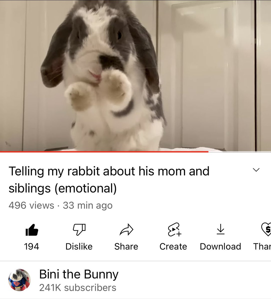 Telling Bini about his real mom! youtu.be/Bds1xhKyg08