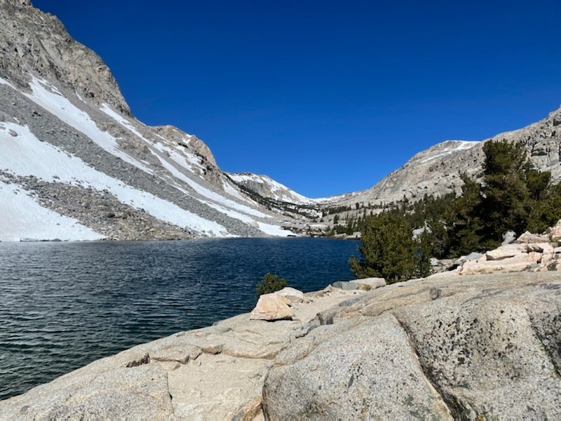 Kammi Foote tweet media