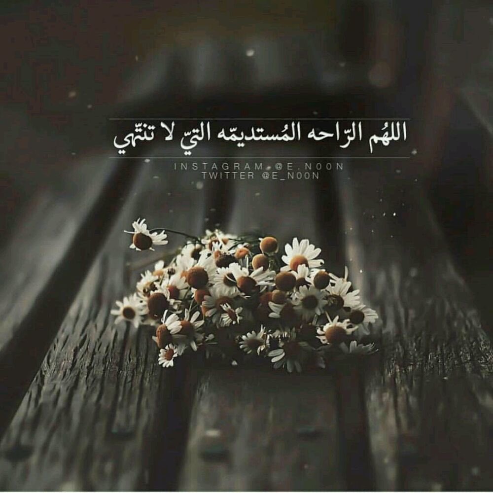 shecallmepsych's tweet photo. ❁࿐☟❃ 

كل الظروف الصعبه
لا تقف أمام خيـراً  آراده  الله لك
فـ إطمئن وتوكل عليه🍃 

All difficult circumstances Do not stand in front of the good that ALLAH wills for you
Soo rest assured and trust in Him ✨

❁࿐☟❃ https://t.co/OLrcHci3l7