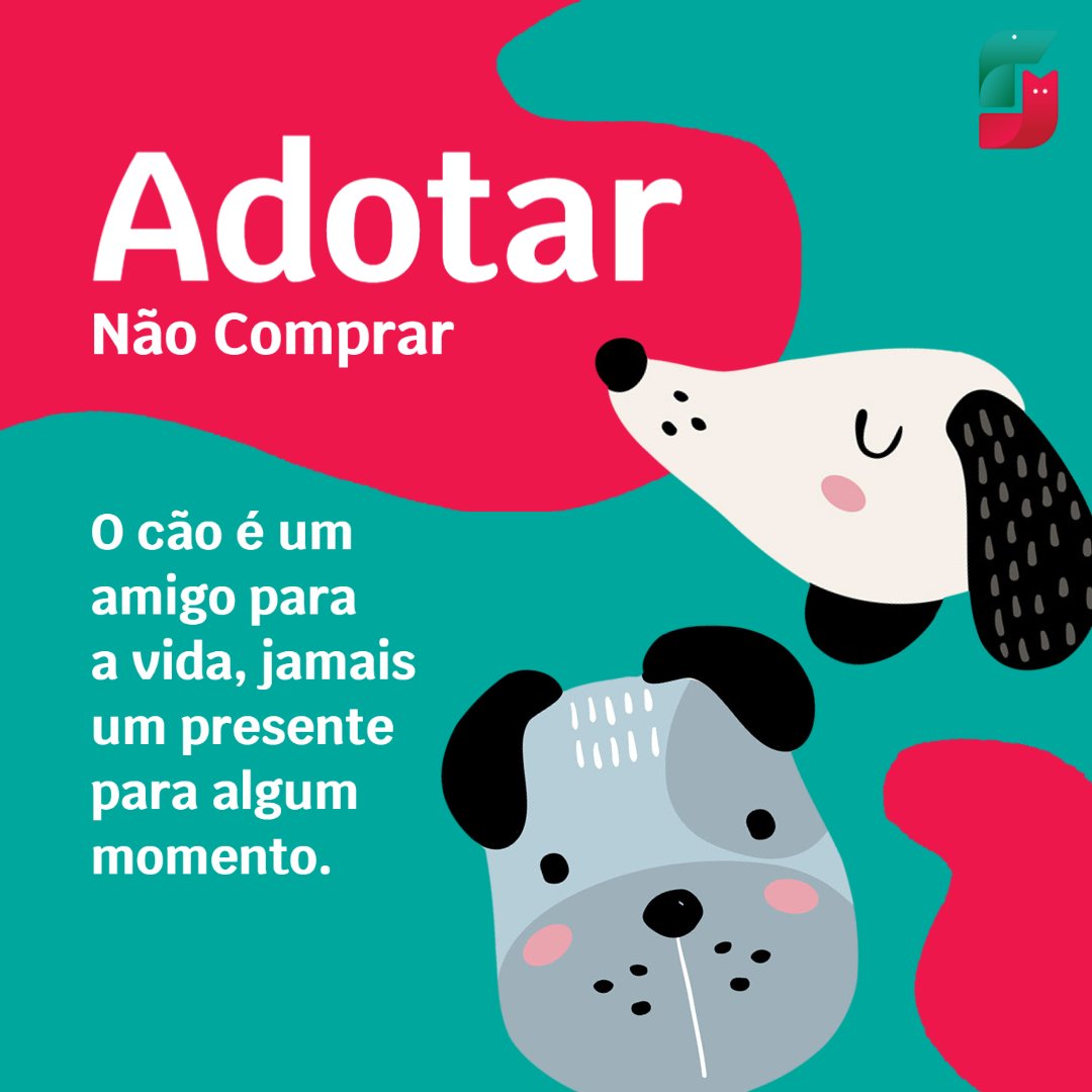 Saúdepets - Planos de Saúde Pet - Consultoria on X: Sou muito fofo! I'm  Very fluffy! #cao #cachorro #canino #dog #pet #animal #puppy   / X