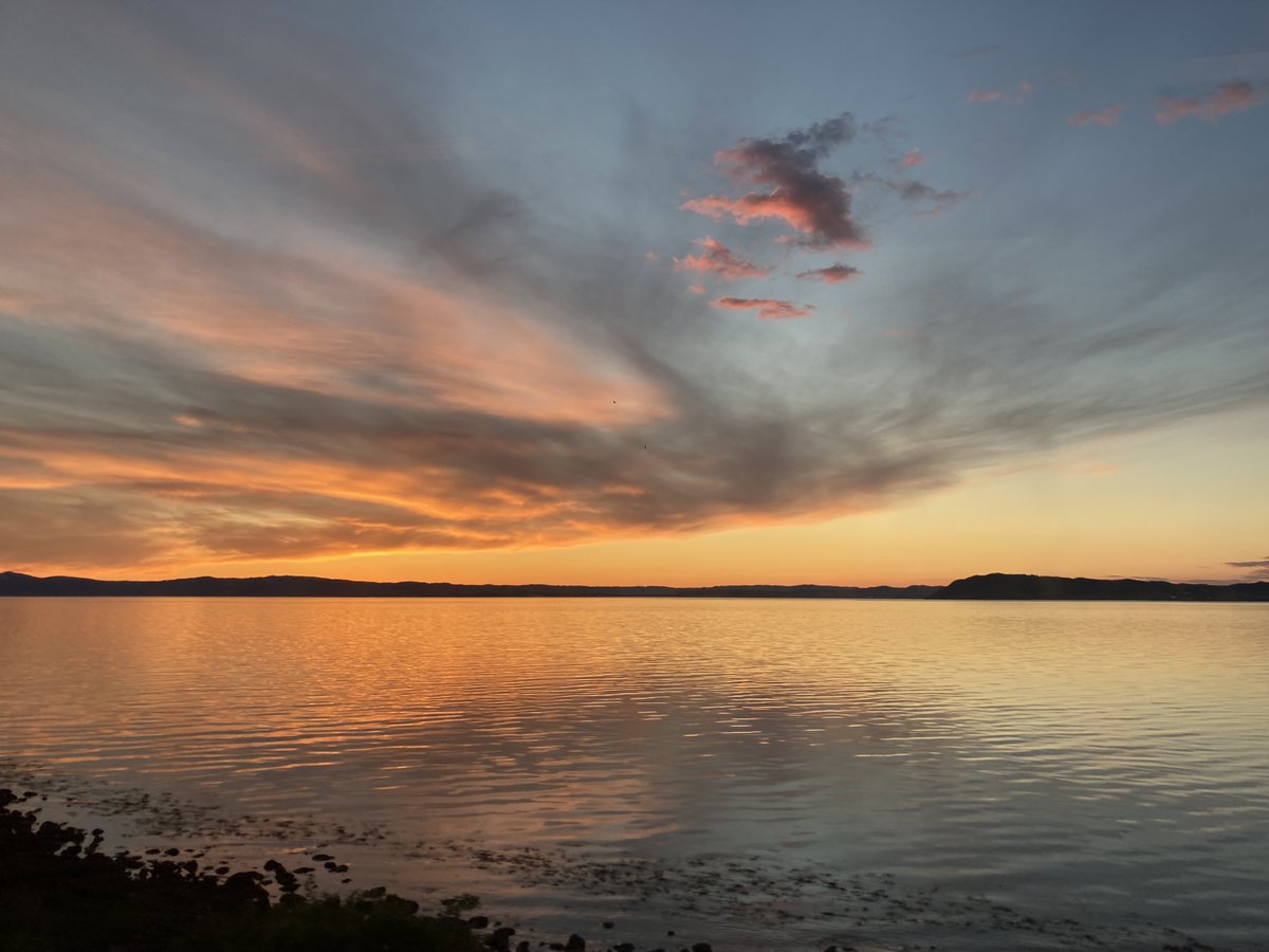 Jan Süselbeck tweet media