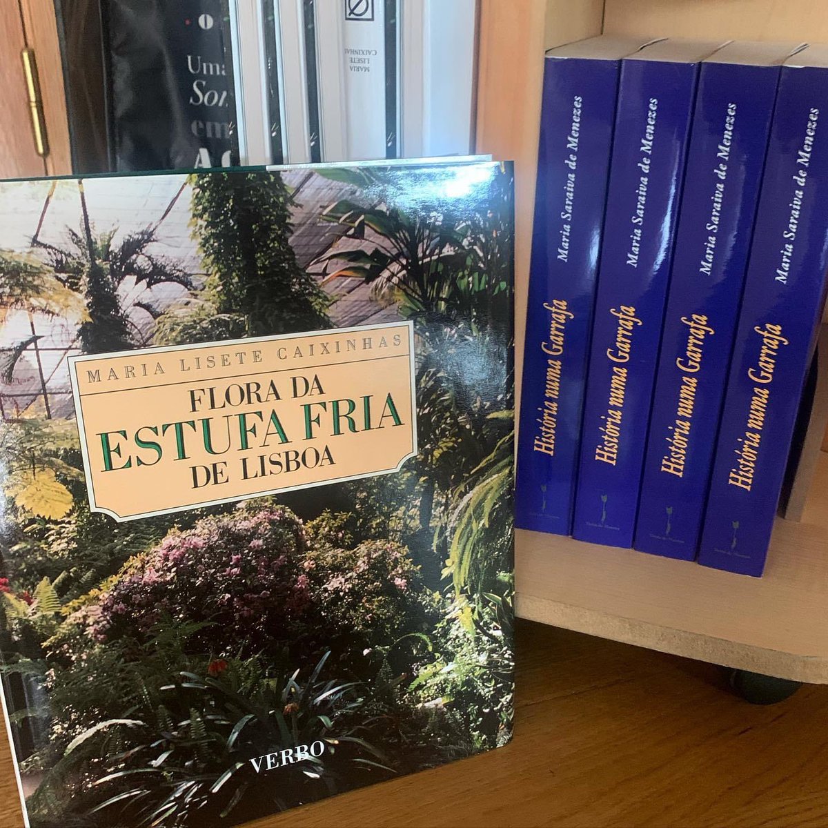 Agora que ‘Maio de flores enfeitado’ está a chegar ao fim, temos mais uns exemplares para oferecer deste livro magnífico na compra da História numa Garrafa. Assim, acolheremos o Verão com cactos e suculentas entre outras maravilhas da Estufa Fria. 
Fruto de parceria entre autoras