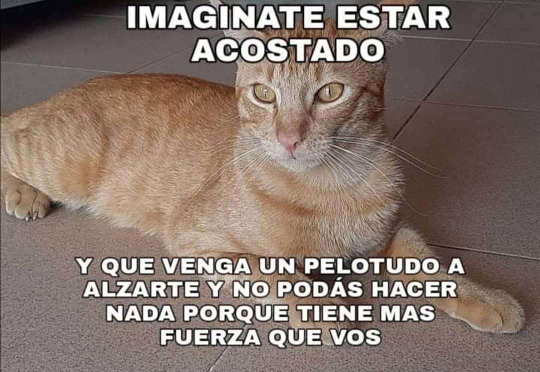 _onerolita's tweet photo. https://t.co/VgWeqXAGW7
