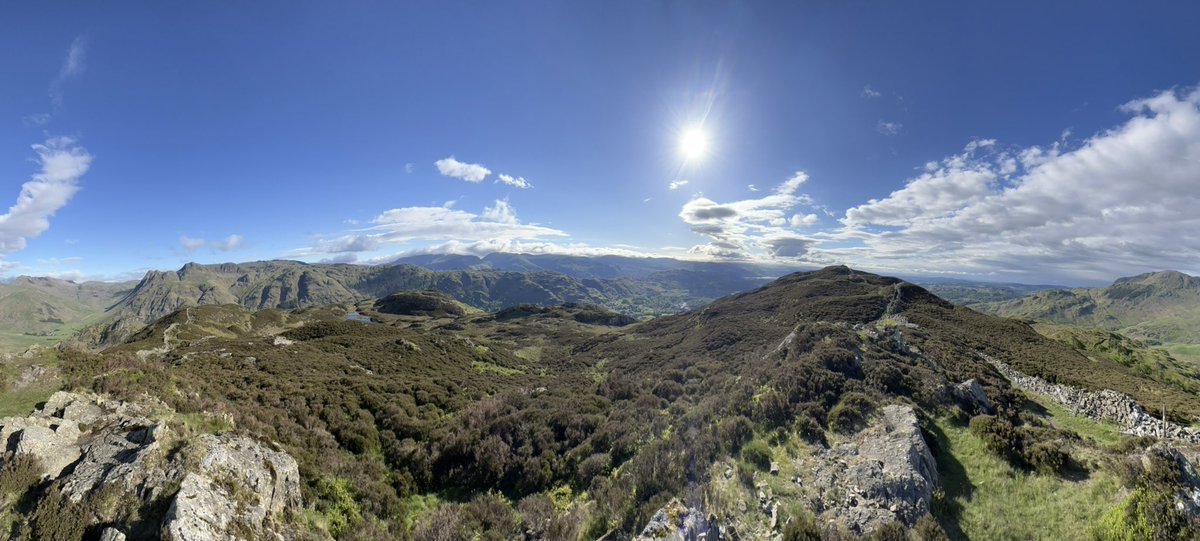 Anja McCarthy tweet media