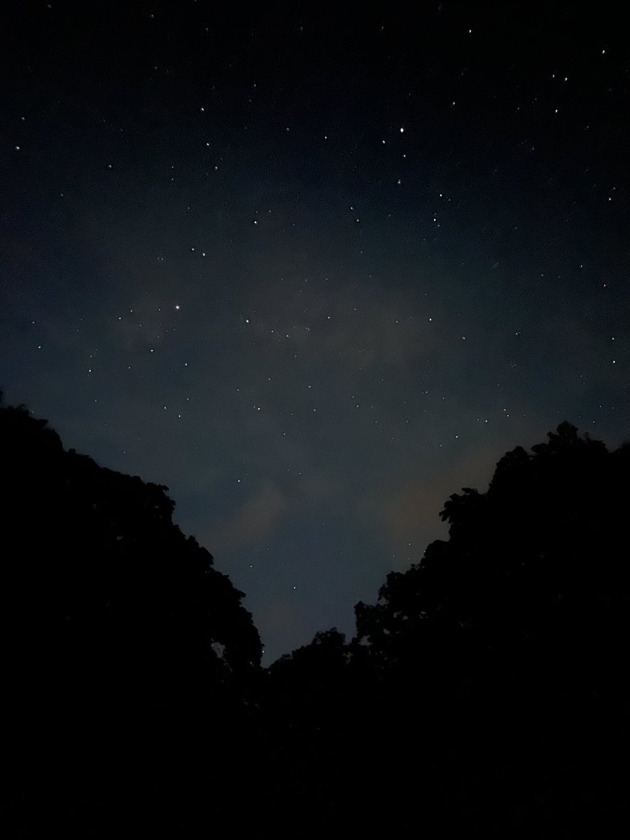 Anja McCarthy tweet media