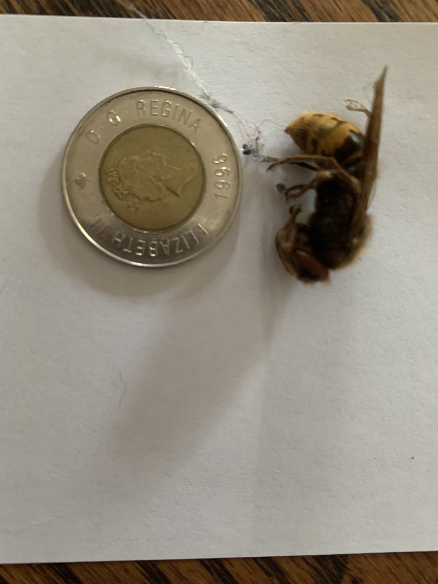 A Recipe For Wonder tweet media