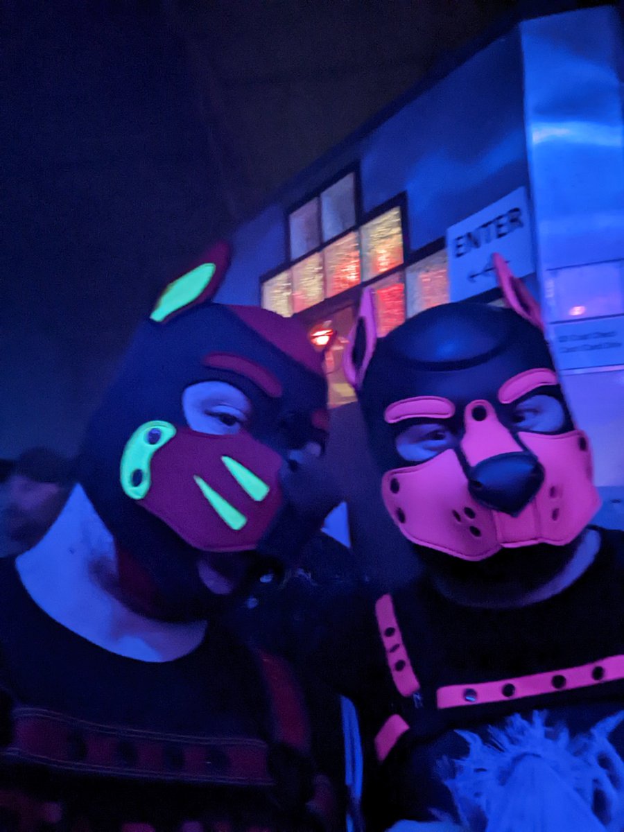 Pups enjoying their time <a href="/thesaloonmn/">Saloon MN</a>  Sunday shower contest