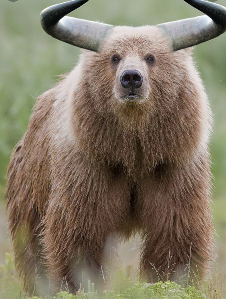 HTX_Global's tweet photo. 👀 #Huobi  🐂 or 🐻 ? https://t.co/GyQsGxJmHT