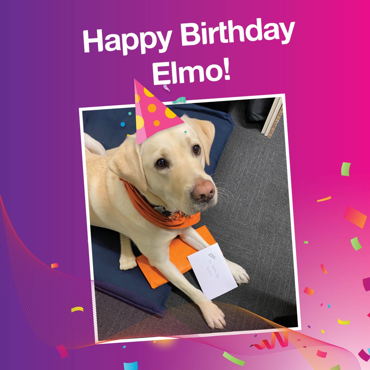 Happy 3rd Birthday to our favourite four-legged team member Elmo! 🐕 No time for a paw-ty when you are busy helping customers feel happy and calm on their journey through the airport. 💜 #Elmo #ADLAmbassaPaws #AirportDog #GuideDogsAustralia
