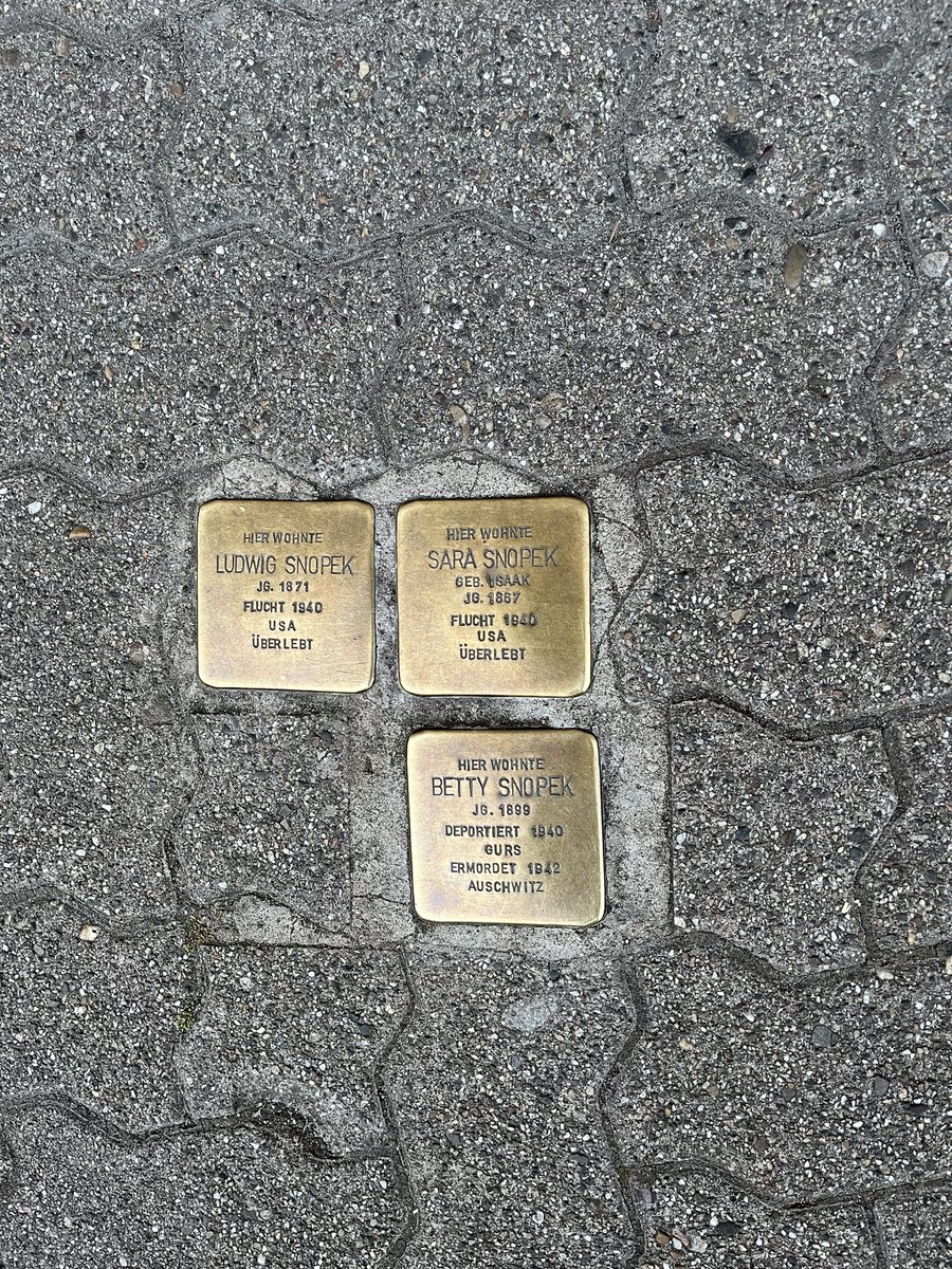 constellateur's tweet photo. #Stolpersteine in #Heidelberg. History of the Snopek family: https://t.co/oMi5z7ly21 https://t.co/c1MZxVXFOC