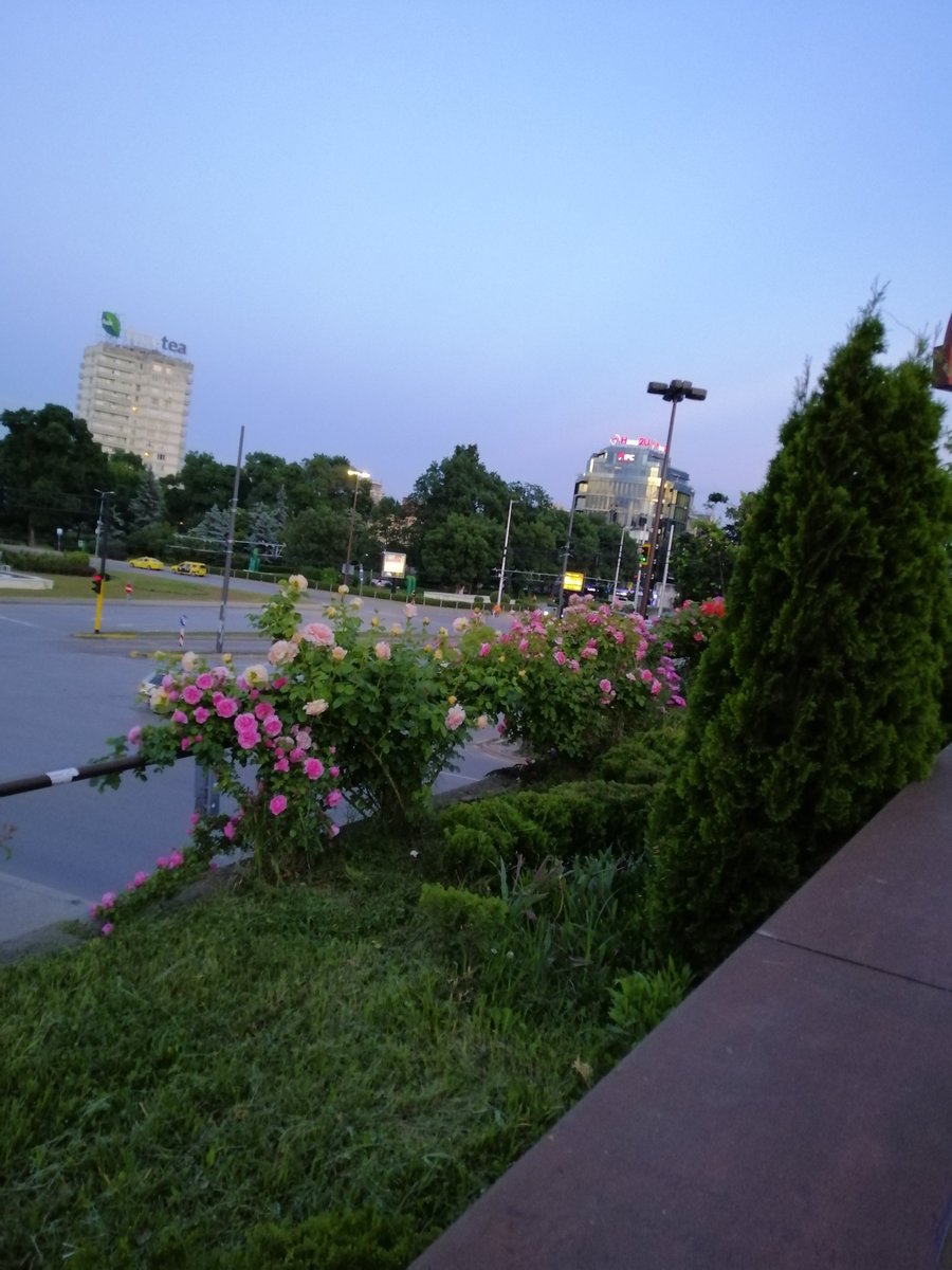 JanaJozeta's tweet photo. #CityStory
#Sofia https://t.co/sX0DFBD7j8