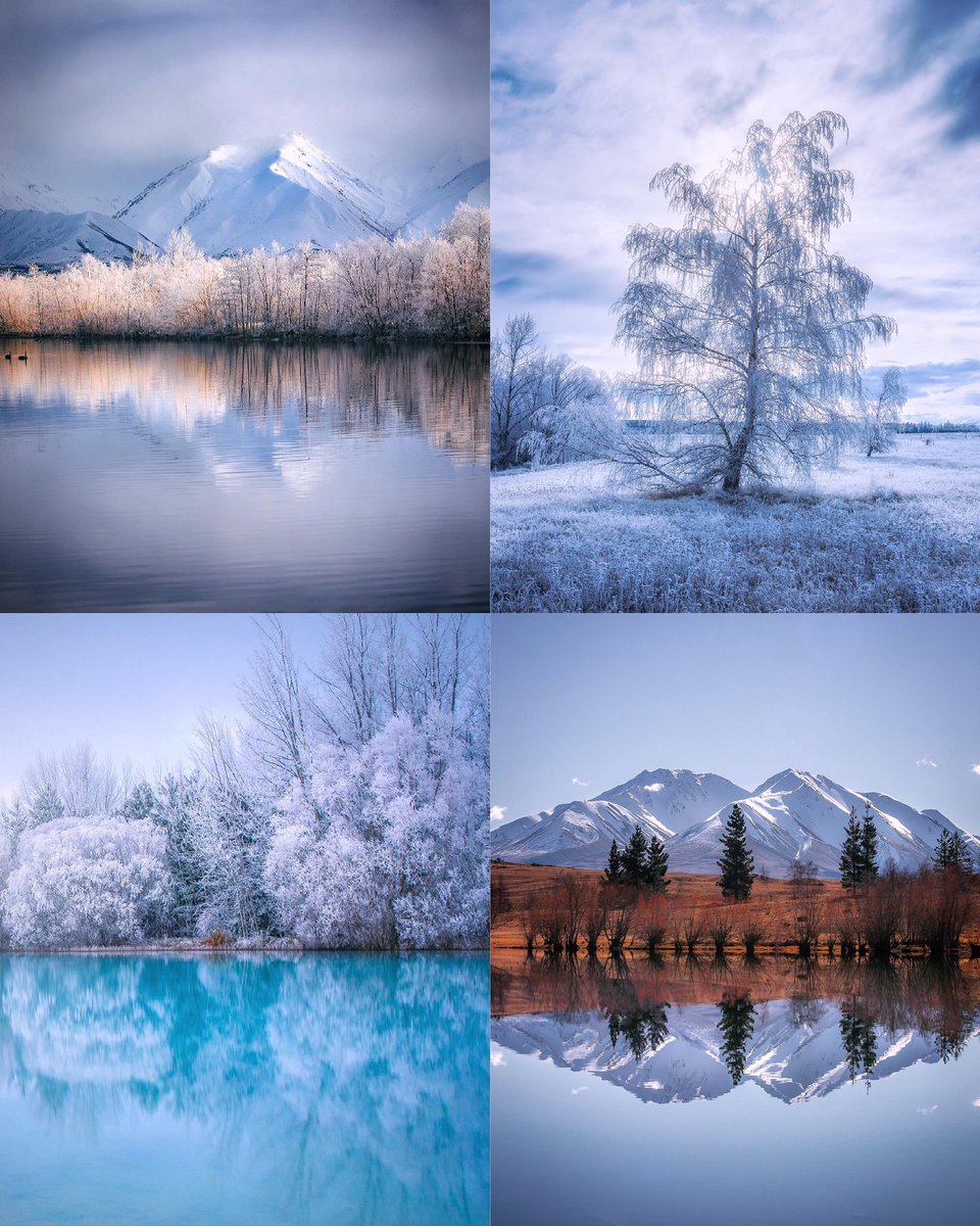 Rach Stewart tweet media