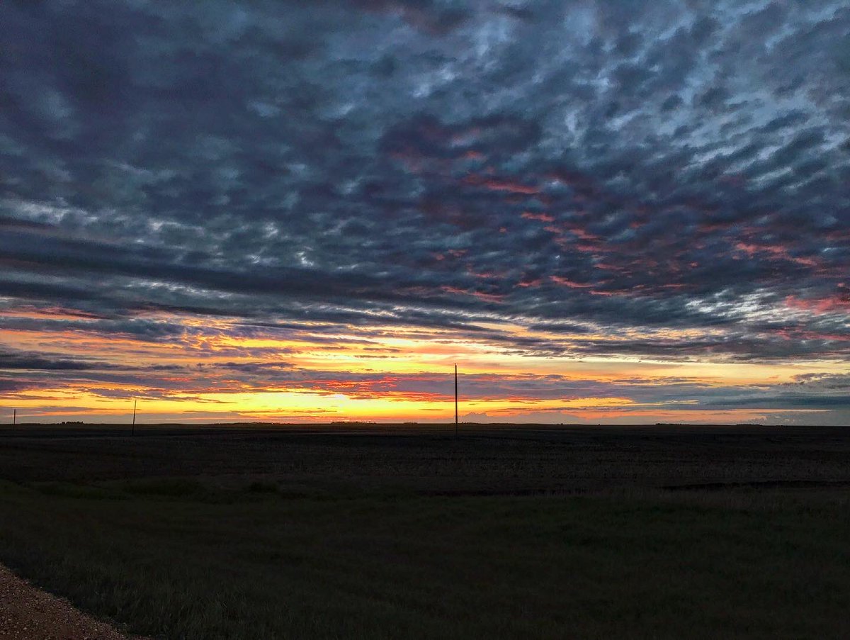 Aisling_HkyMom's tweet photo. ‘On the prairie, one can see the colour of the air’ - Emily Murphy

#saskatchewan #landofthelivingskies #fourmileroad #hwy39 #sunset https://t.co/SySbUTlnnn